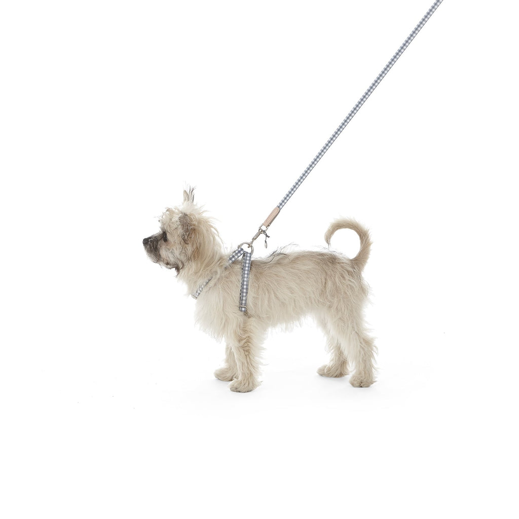 Harnais pour chien Ring Clara Check