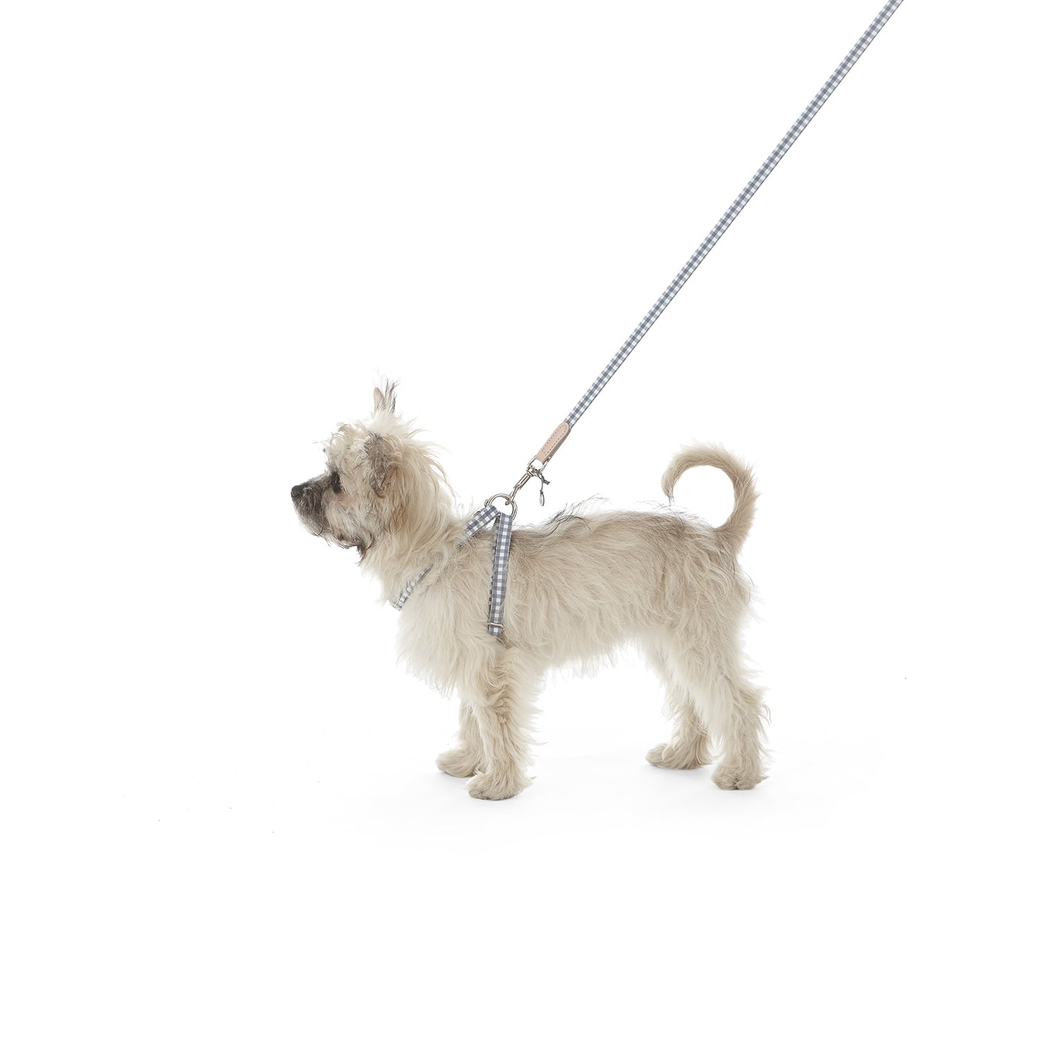 Harnais pour chien Ring Clara Check