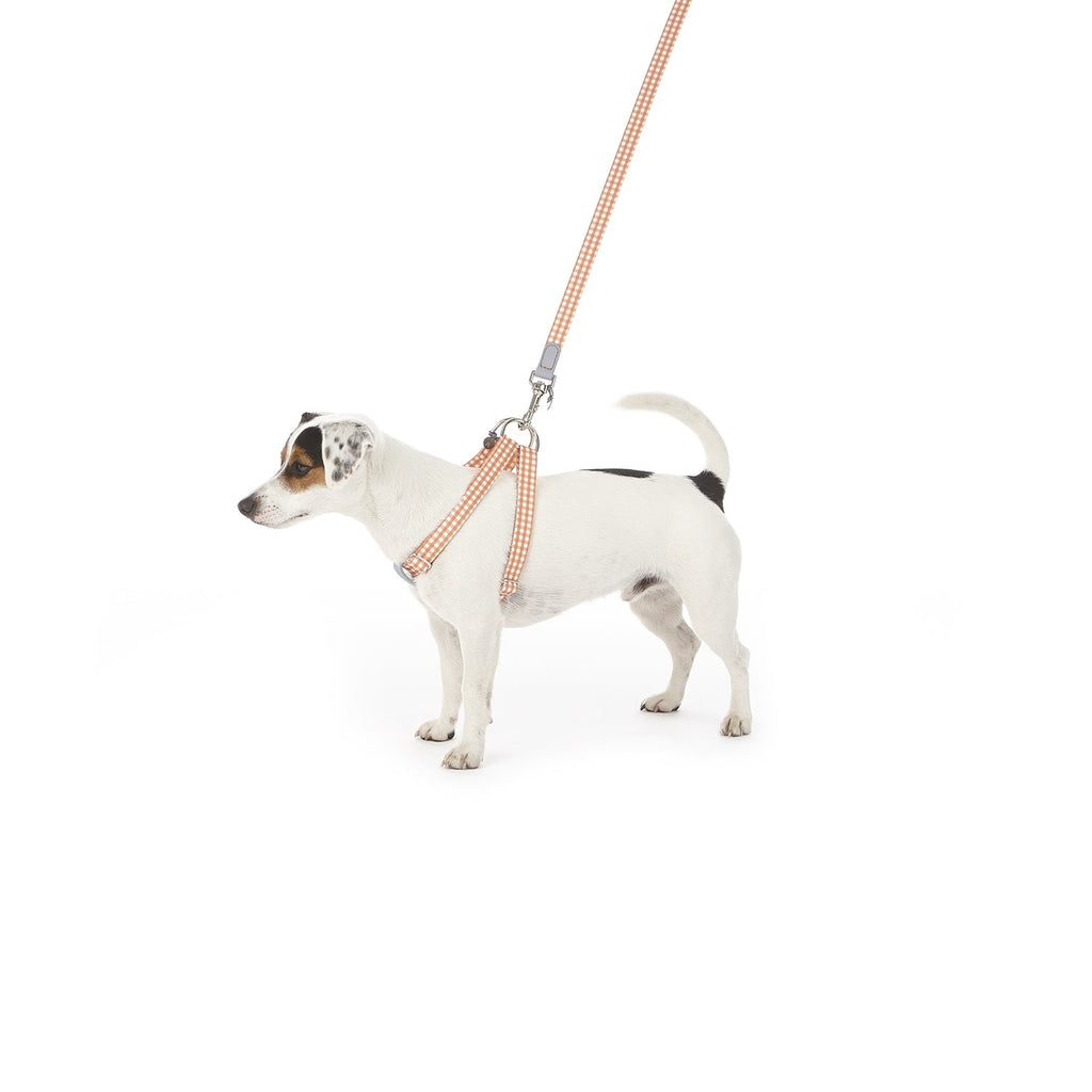 Harnais pour chien Ring Clara Check