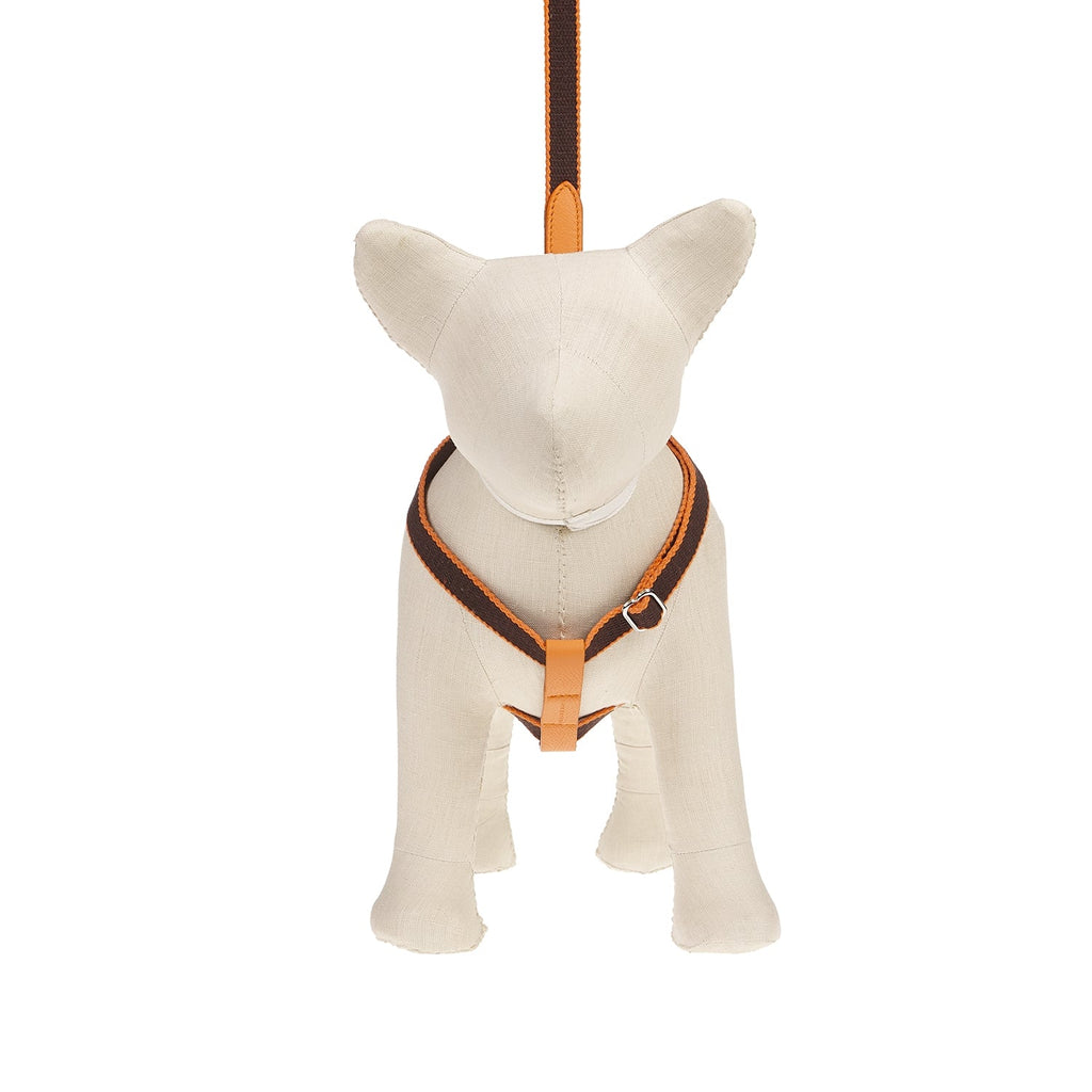 Harnais pour chien Ring Preppy