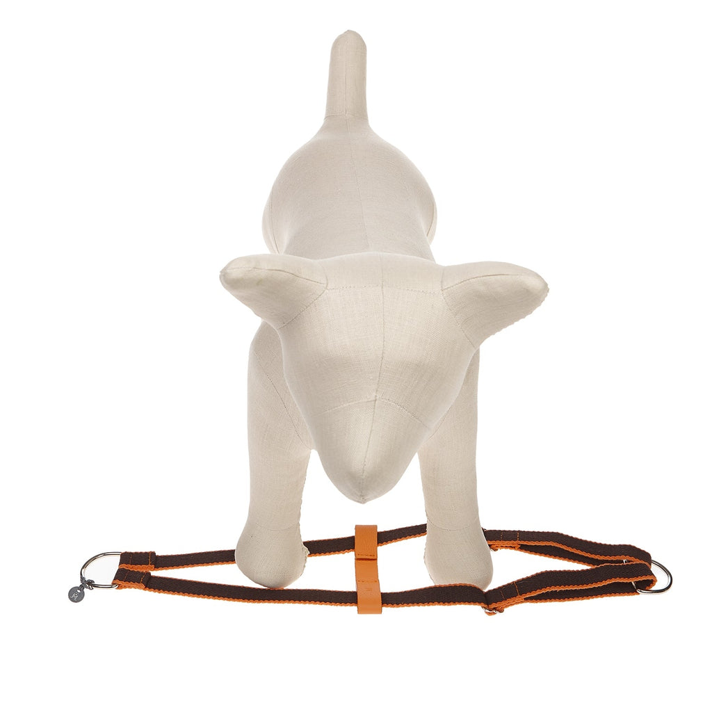 Harnais pour chien Ring Preppy