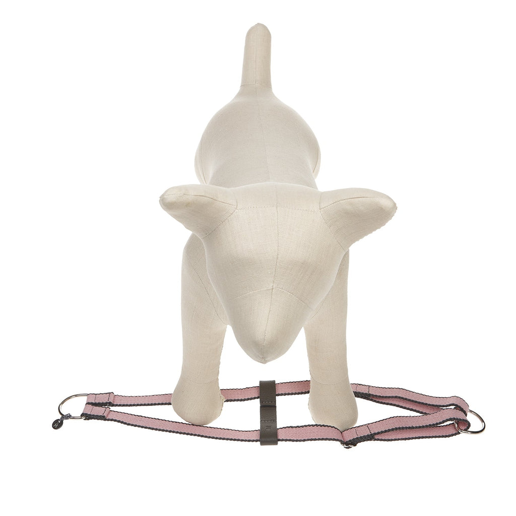 Harnais pour chien Ring Preppy