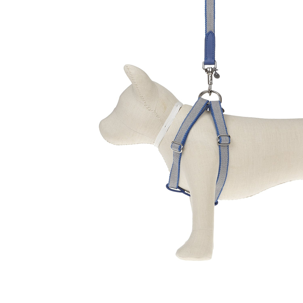 Harnais pour chien Ring Preppy