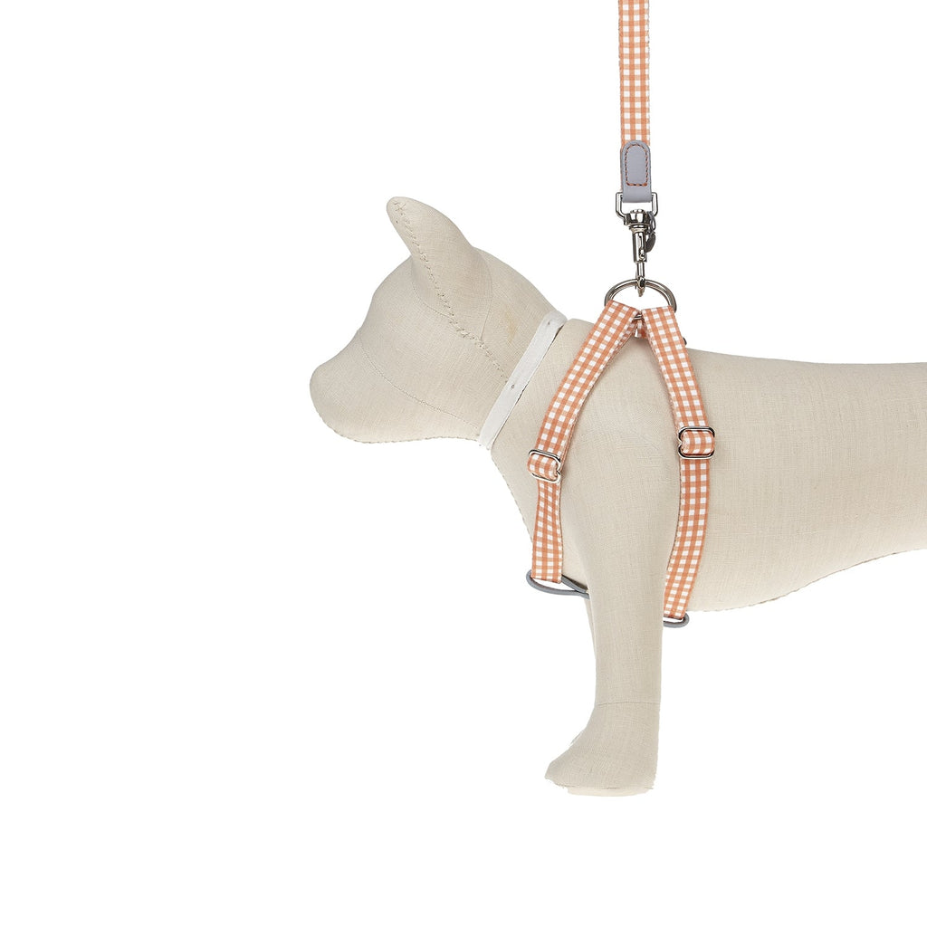 Harnais pour chien Ring Clara Check