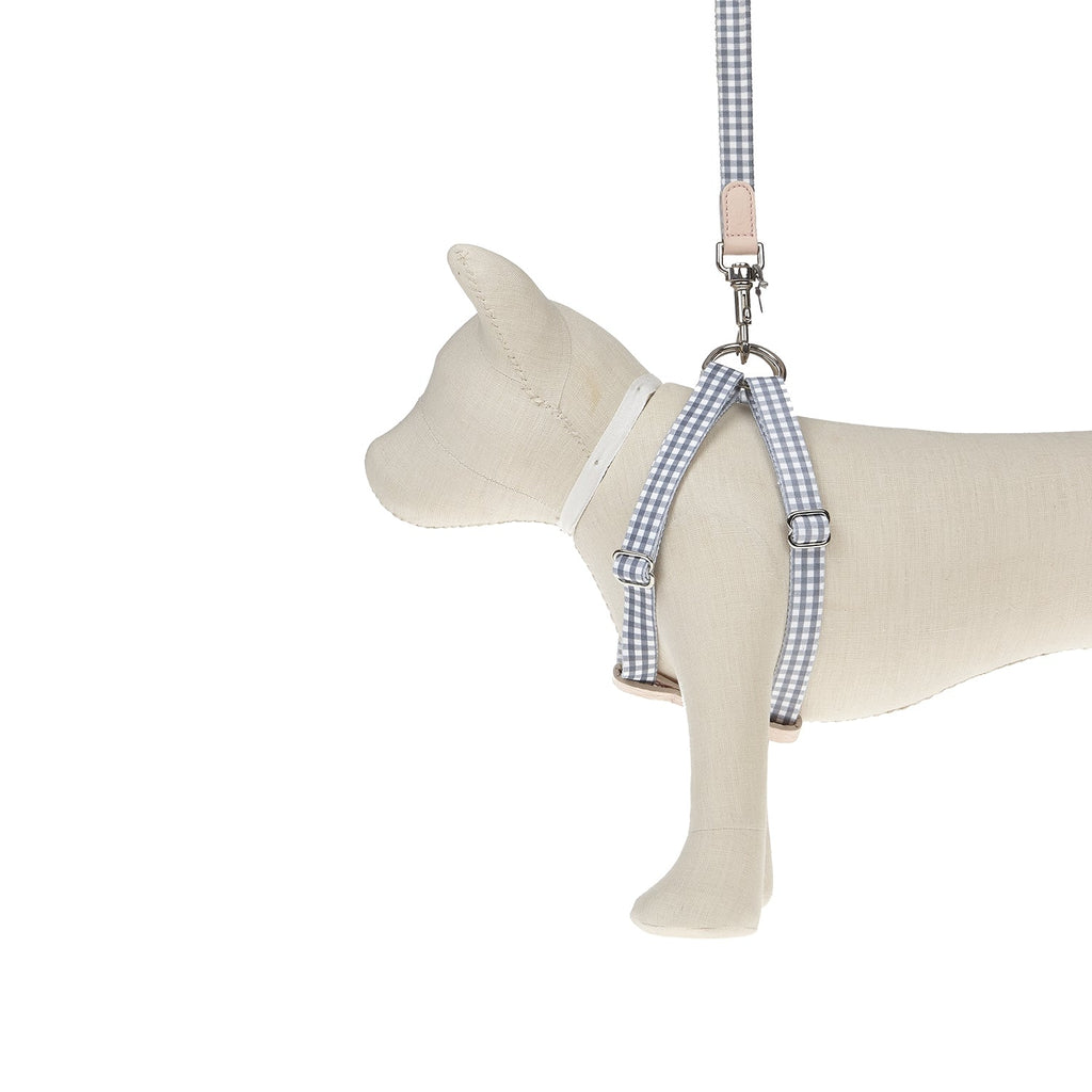 Harnais pour chien Ring Clara Check