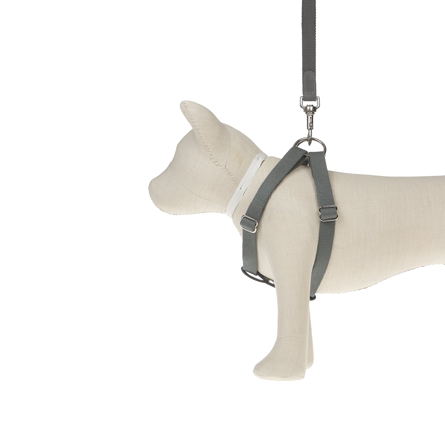 Harnais pour chien Ring