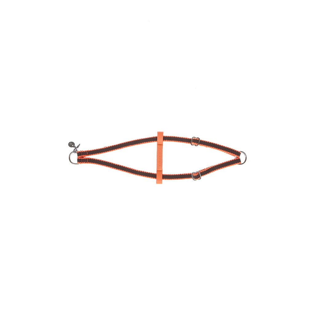 Harnais pour chien Ring Preppy