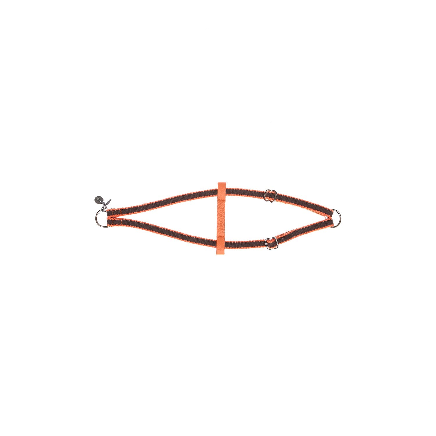 Harnais pour chien Ring Preppy