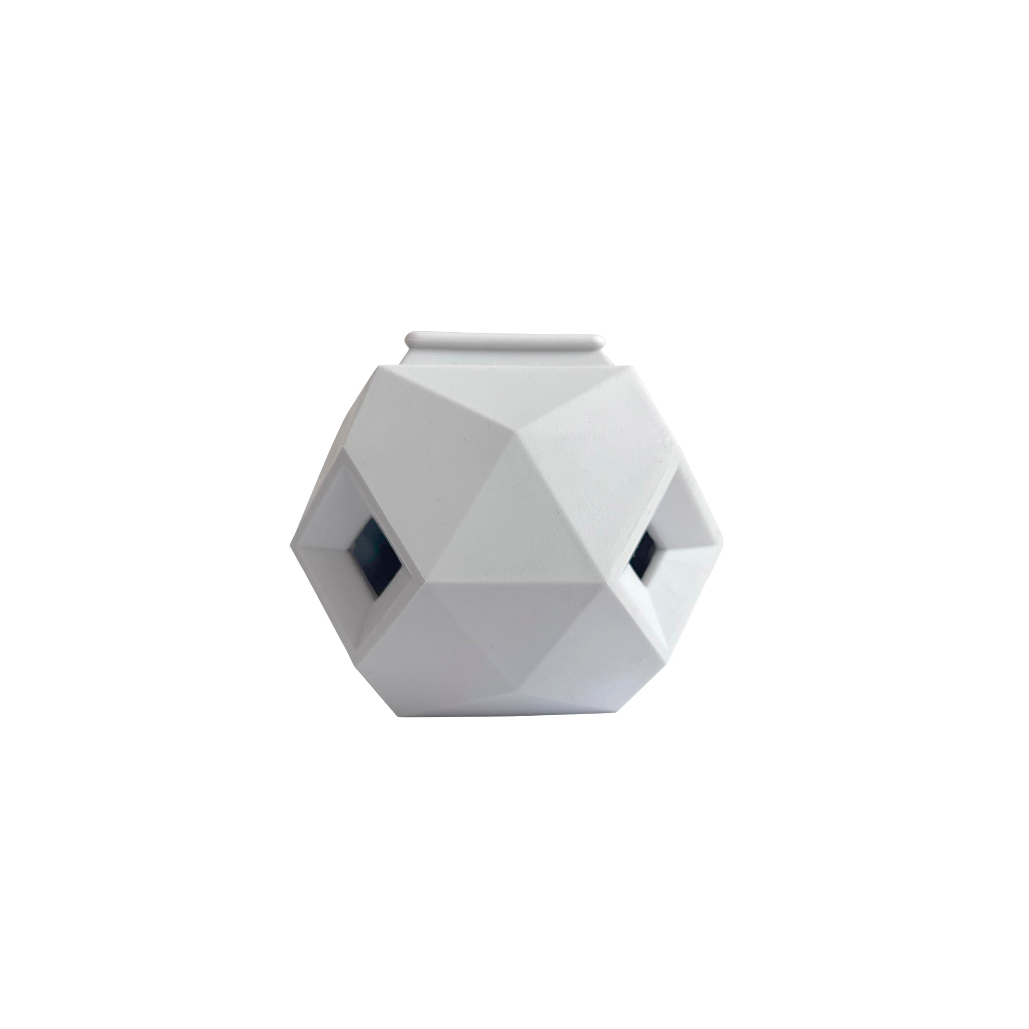 Jouet pour chien Prism