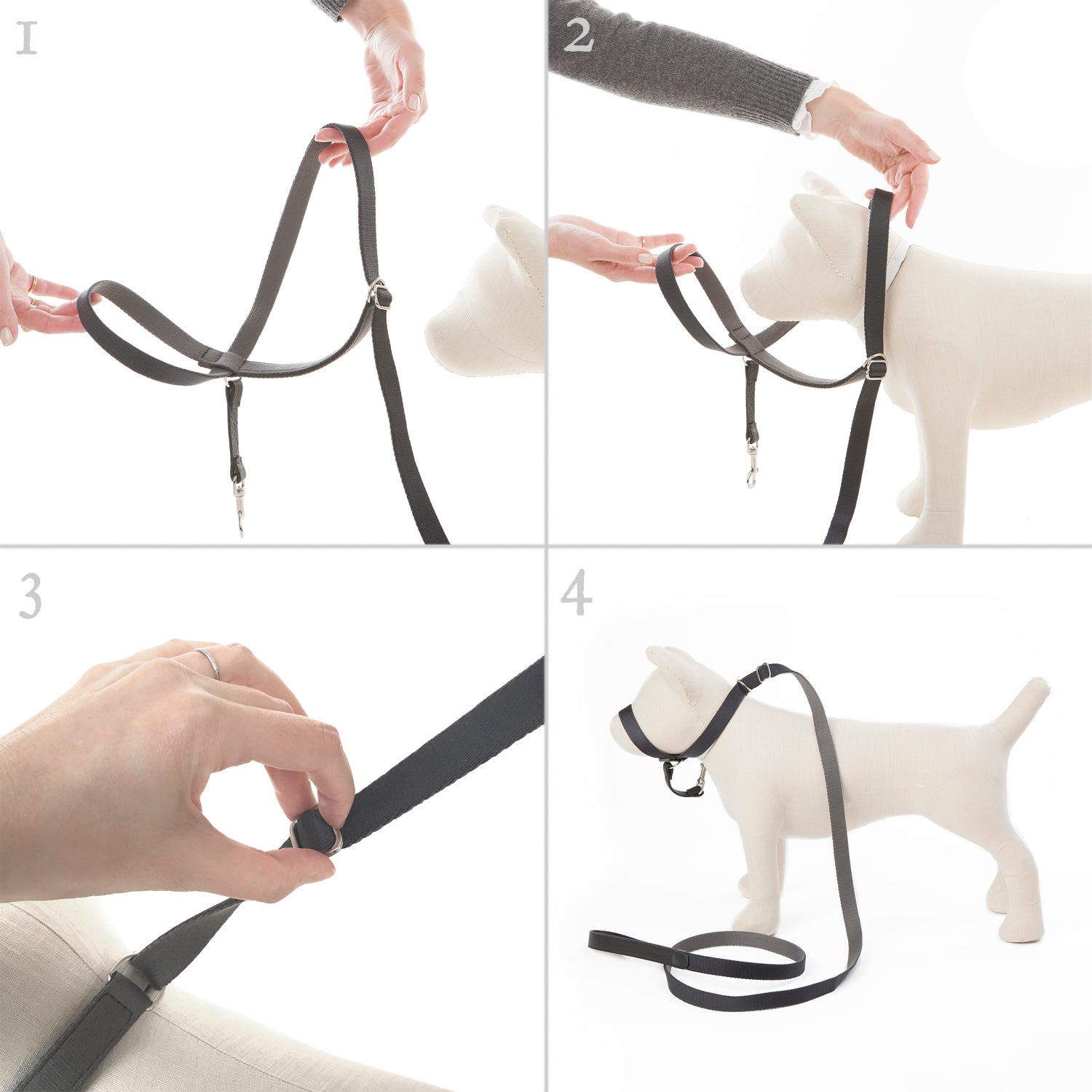 Suivez mon exemple - Tête