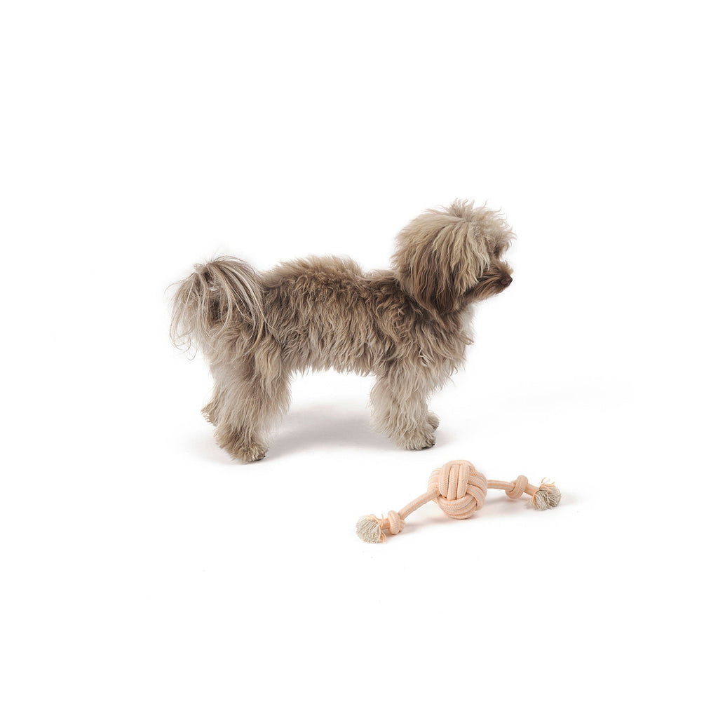Jouet pour chien en corde « Tie Me a Knot »