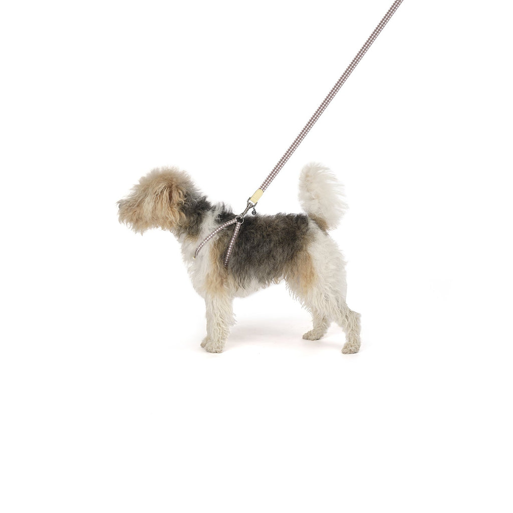 Harnais pour chien Ring Clara Check