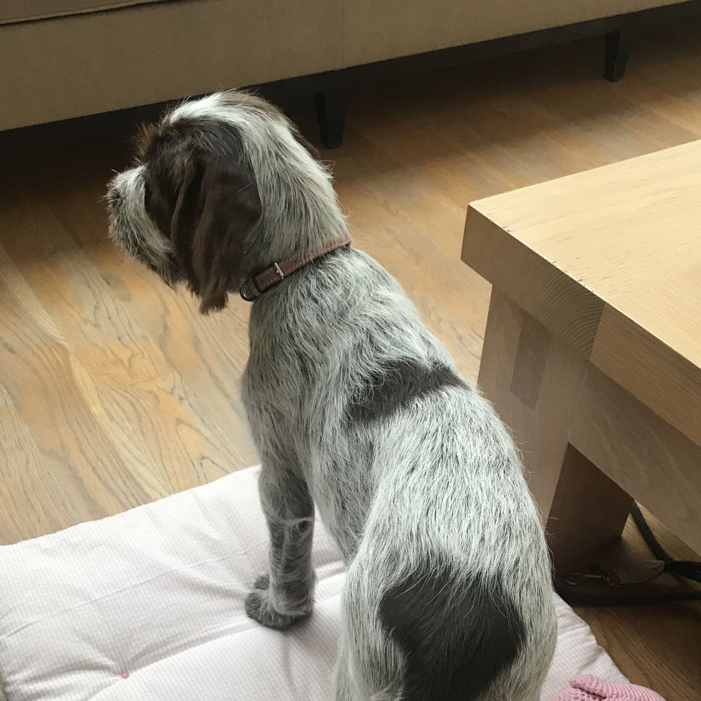 Couette OTT - Surmatelas