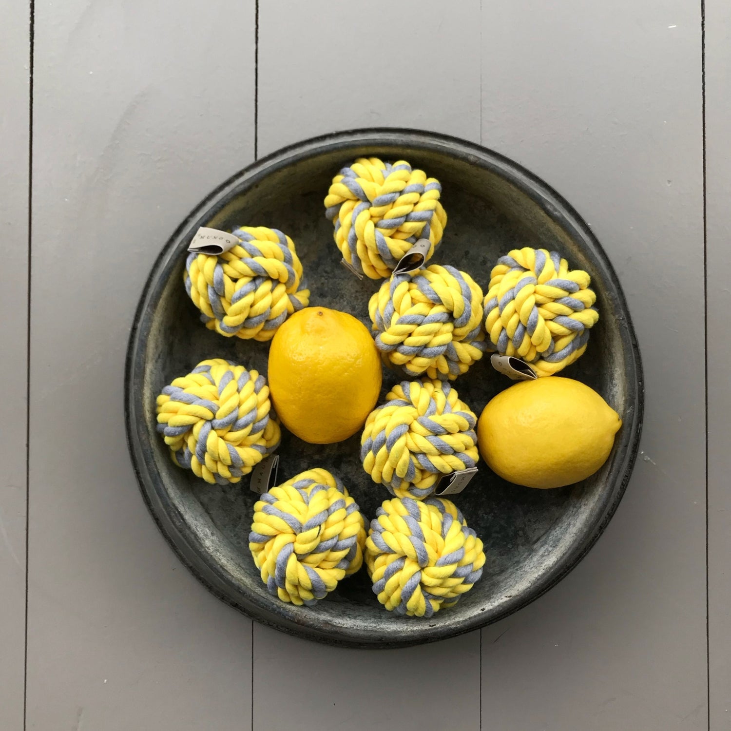 Jouet pour chien en corde avec nœud Forget Me