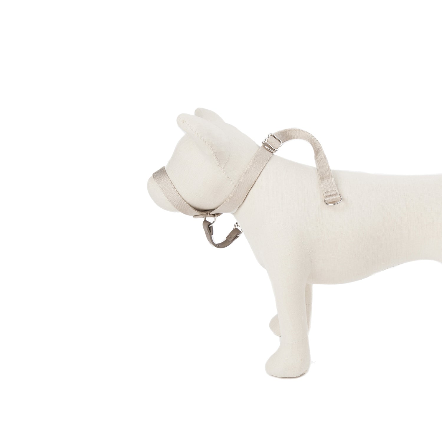 Suivez mon exemple - Tête