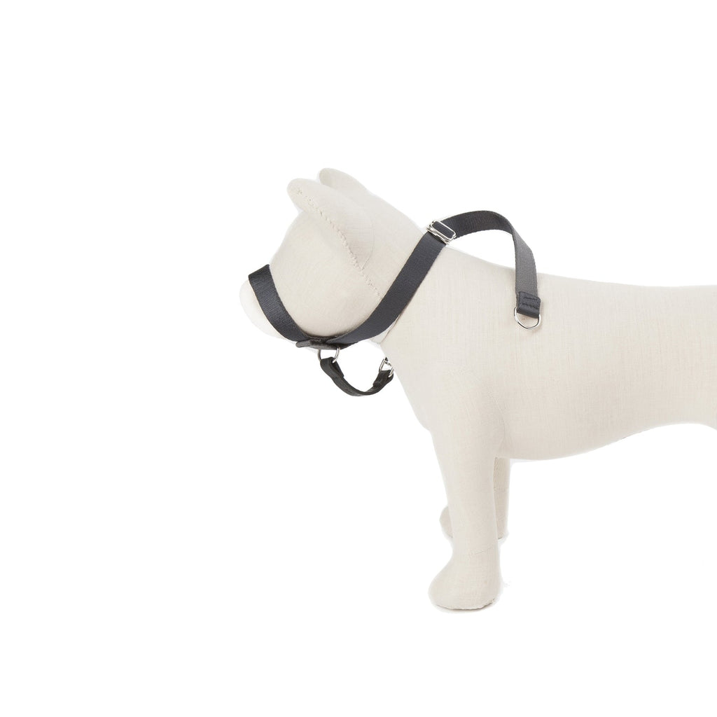 Suivez mon exemple - Tête